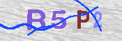 Obraz CAPTCHY