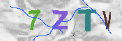 Obraz CAPTCHY