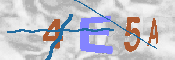 Obraz CAPTCHY
